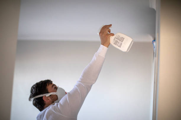 Best Mold Damage Repair  in Dyersville, IA