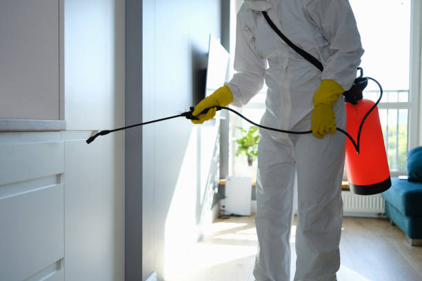 Best Professional Mold Removal  in Dyersville, IA