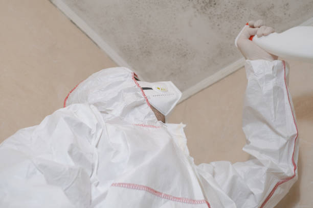 Best Home Mold Removal  in Dyersville, IA