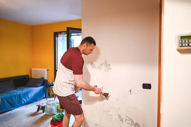 Best Commercial Mold Removal  in Dyersville, IA